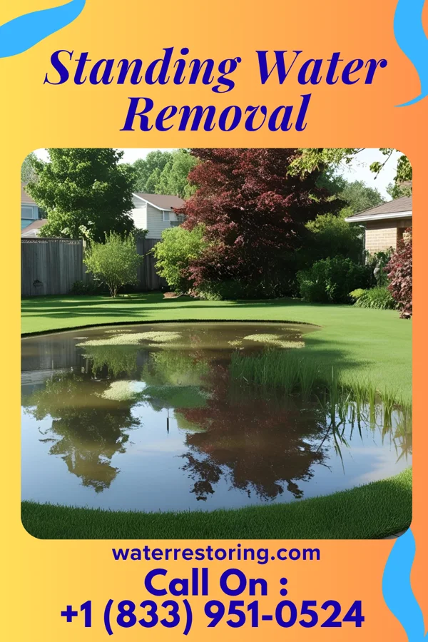 Standing Water Removal in Unity, OR
